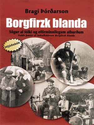 cover image of Borgfirzk blanda